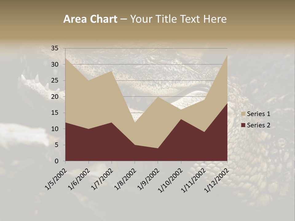 Closeup Of A Crocodile PowerPoint Template