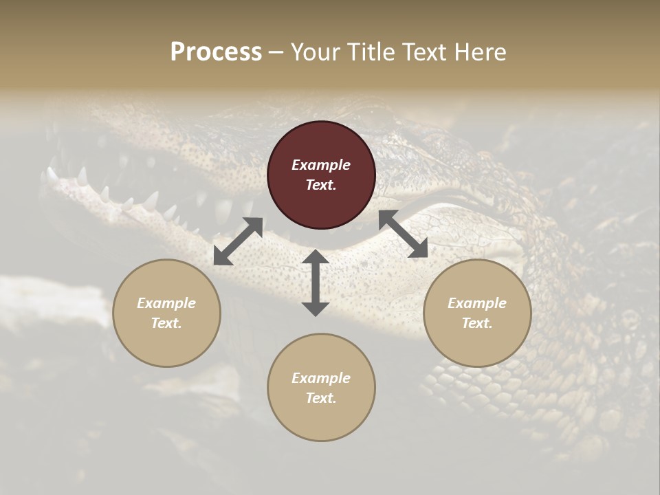 Closeup Of A Crocodile PowerPoint Template