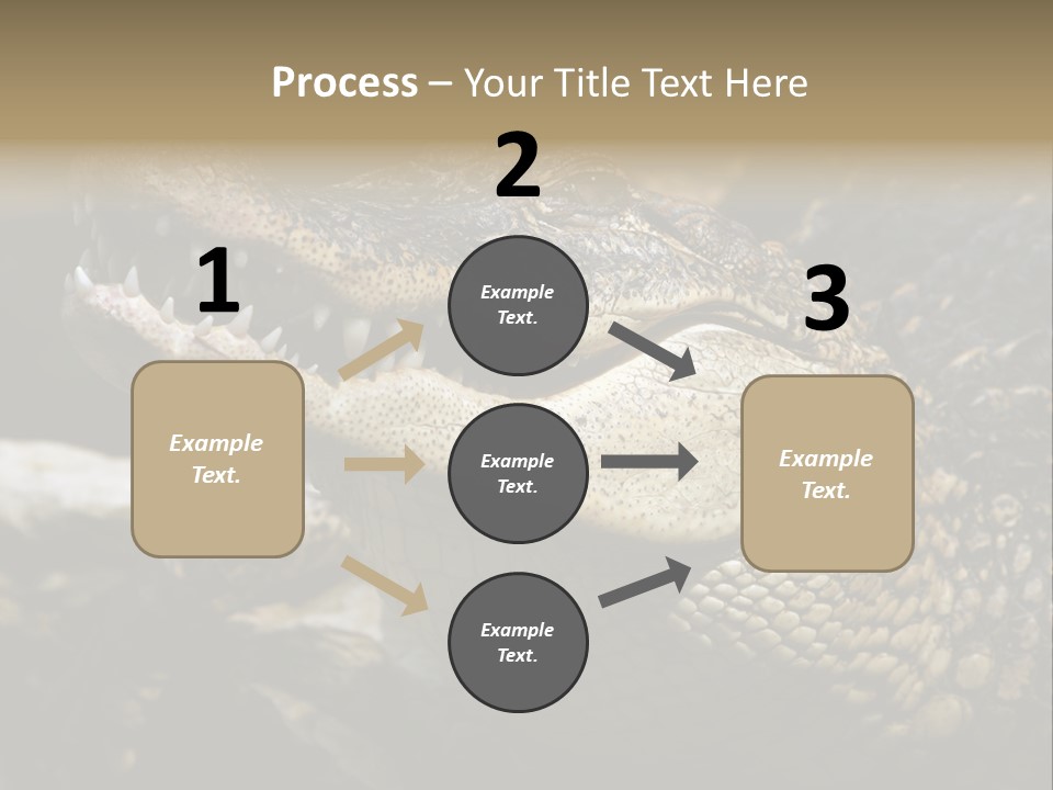 Closeup Of A Crocodile PowerPoint Template