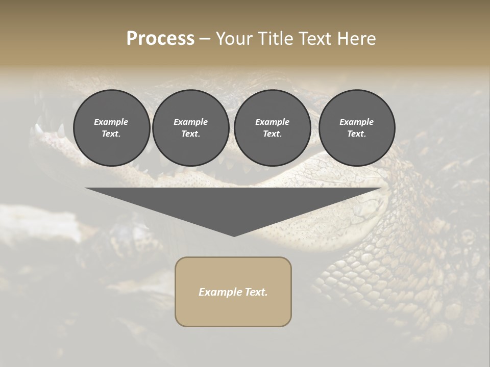 Closeup Of A Crocodile PowerPoint Template