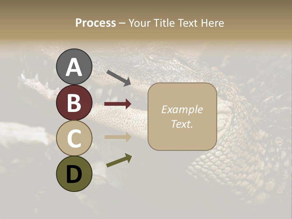 Closeup Of A Crocodile PowerPoint Template