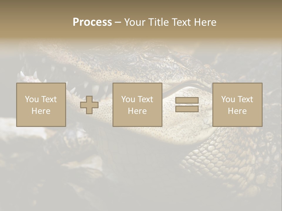 Closeup Of A Crocodile PowerPoint Template