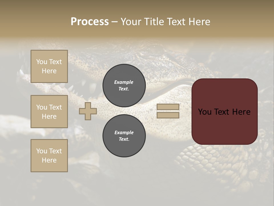 Closeup Of A Crocodile PowerPoint Template