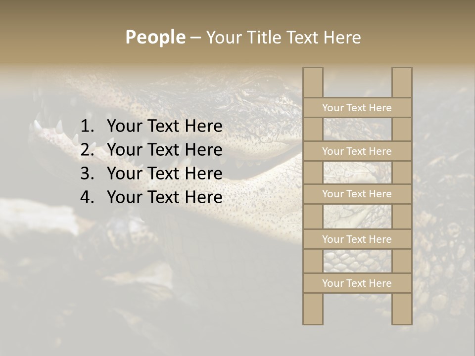 Closeup Of A Crocodile PowerPoint Template