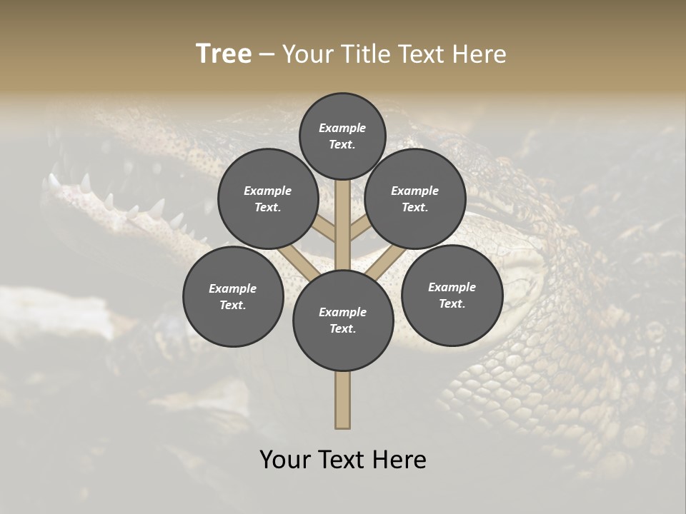 Closeup Of A Crocodile PowerPoint Template