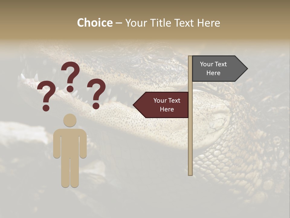 Closeup Of A Crocodile PowerPoint Template
