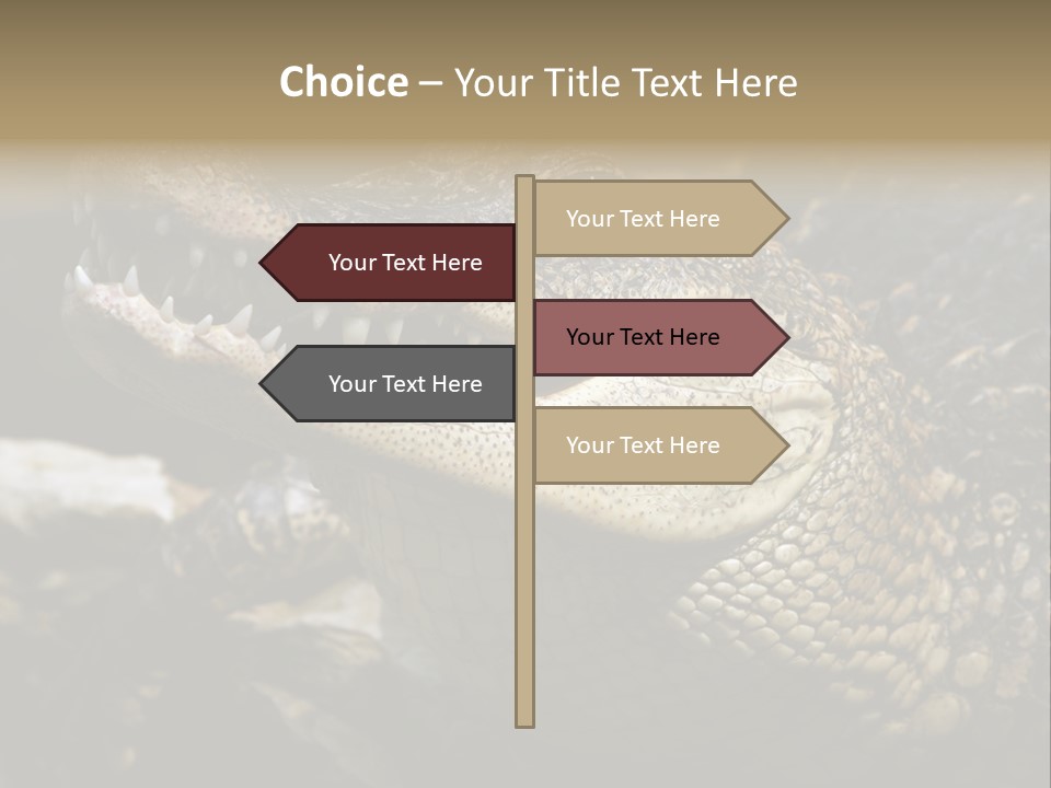 Closeup Of A Crocodile PowerPoint Template