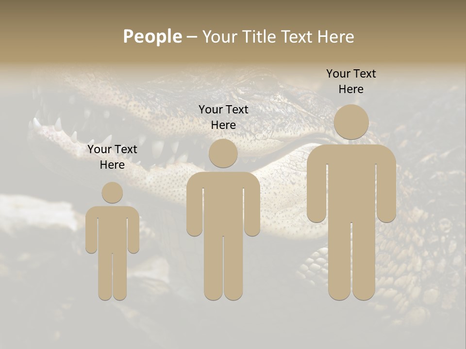 Closeup Of A Crocodile PowerPoint Template