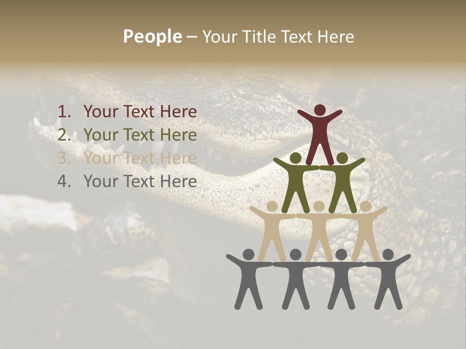 Closeup Of A Crocodile PowerPoint Template