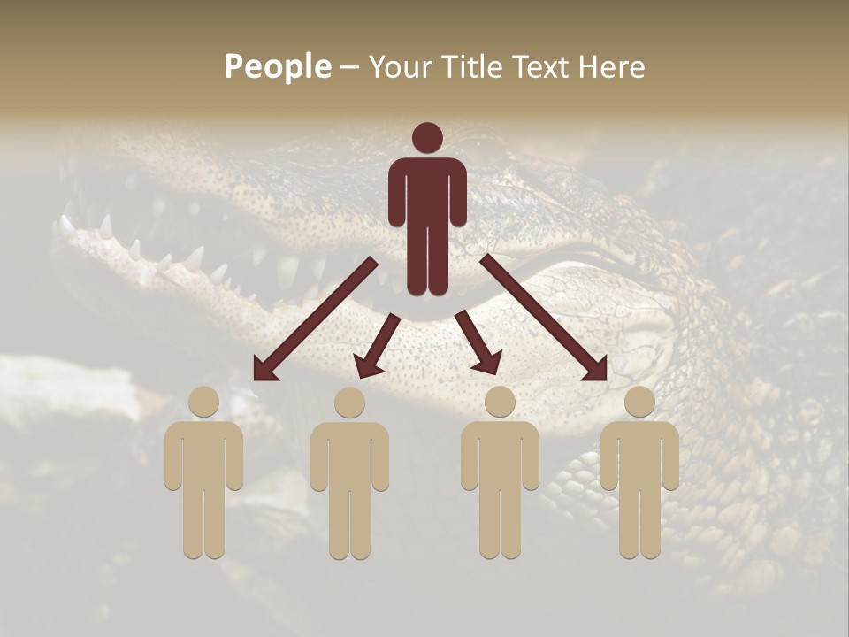Closeup Of A Crocodile PowerPoint Template