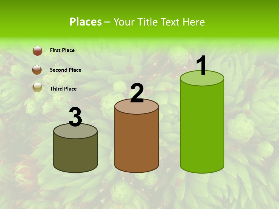 Sempervivum - Hens And Chicks - Sempervivum Soboliferum PowerPoint Template