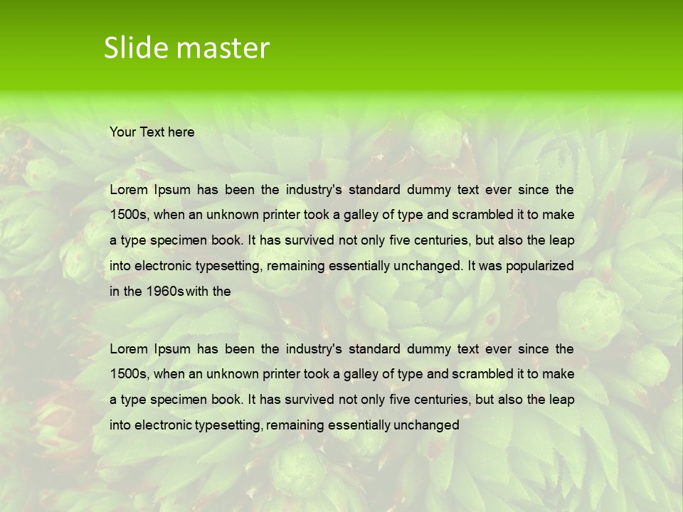 Sempervivum - Hens And Chicks - Sempervivum Soboliferum PowerPoint Template