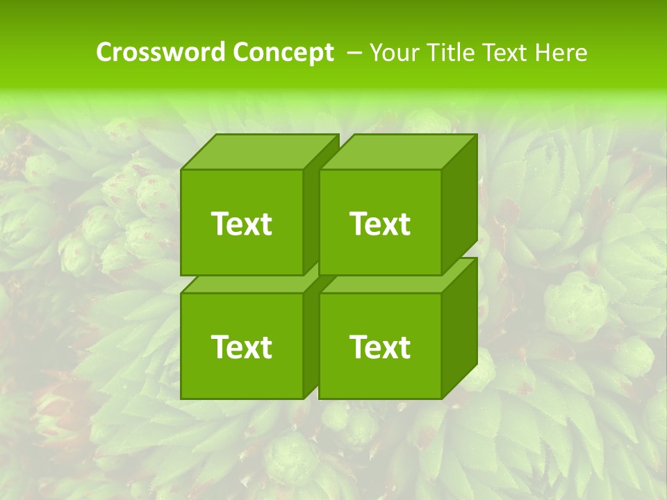 Sempervivum - Hens And Chicks - Sempervivum Soboliferum PowerPoint Template