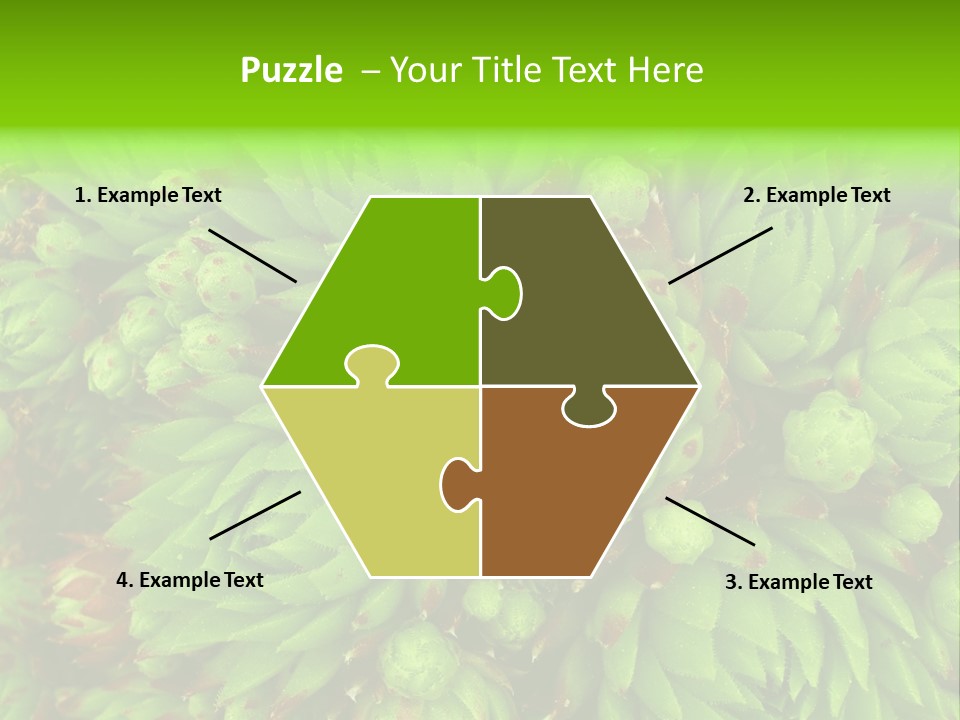 Sempervivum - Hens And Chicks - Sempervivum Soboliferum PowerPoint Template