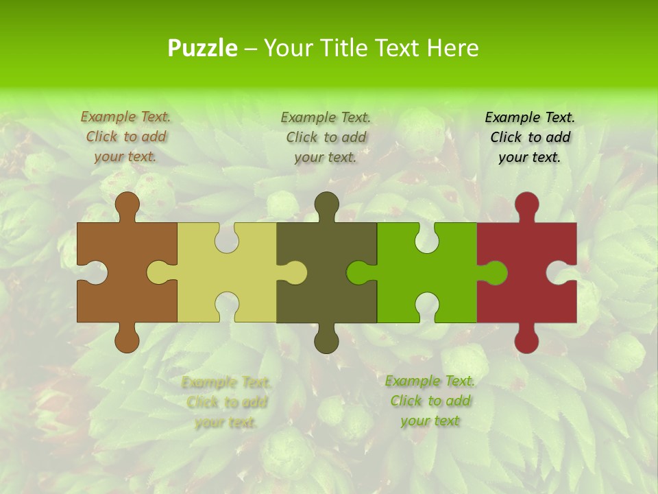 Sempervivum - Hens And Chicks - Sempervivum Soboliferum PowerPoint Template