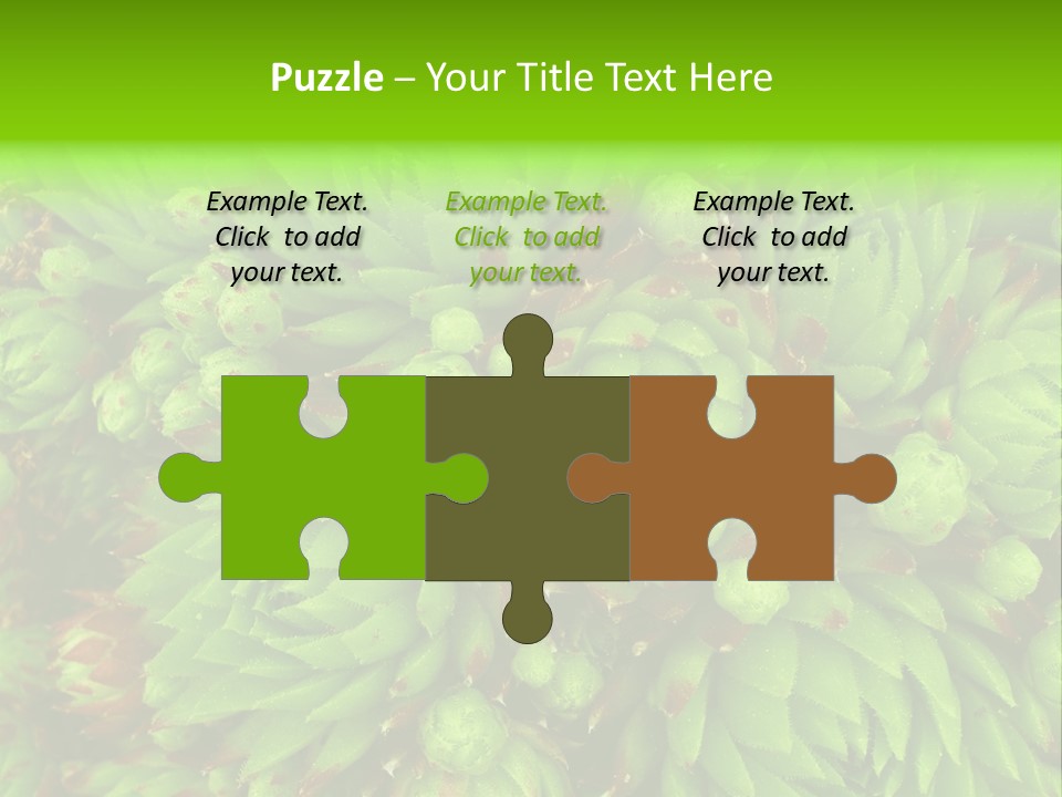 Sempervivum - Hens And Chicks - Sempervivum Soboliferum PowerPoint Template