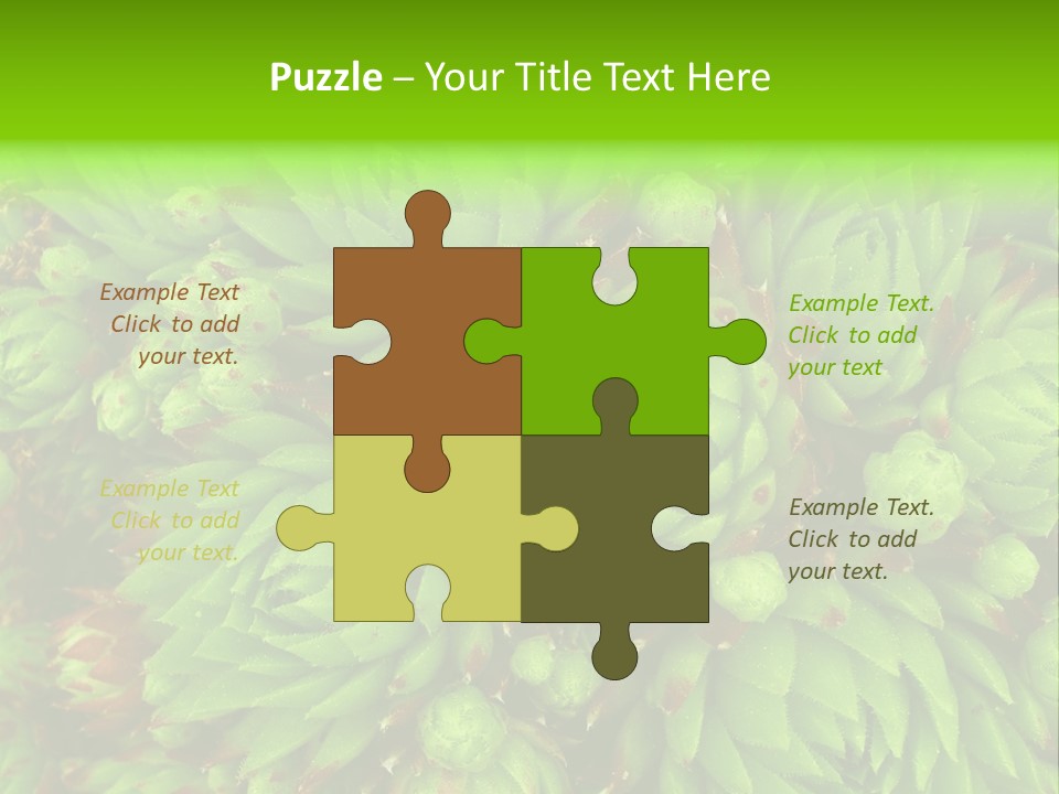 Sempervivum - Hens And Chicks - Sempervivum Soboliferum PowerPoint Template