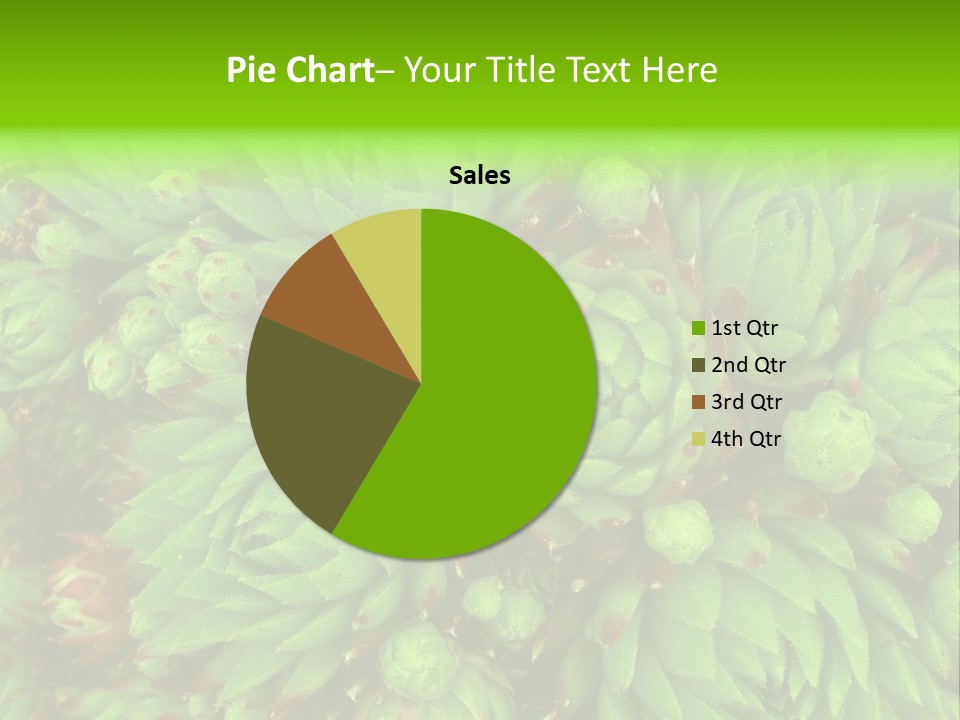 Sempervivum - Hens And Chicks - Sempervivum Soboliferum PowerPoint Template