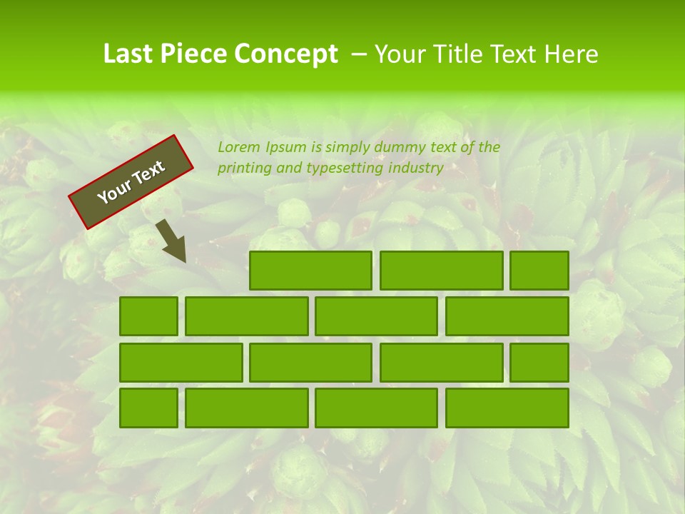 Sempervivum - Hens And Chicks - Sempervivum Soboliferum PowerPoint Template
