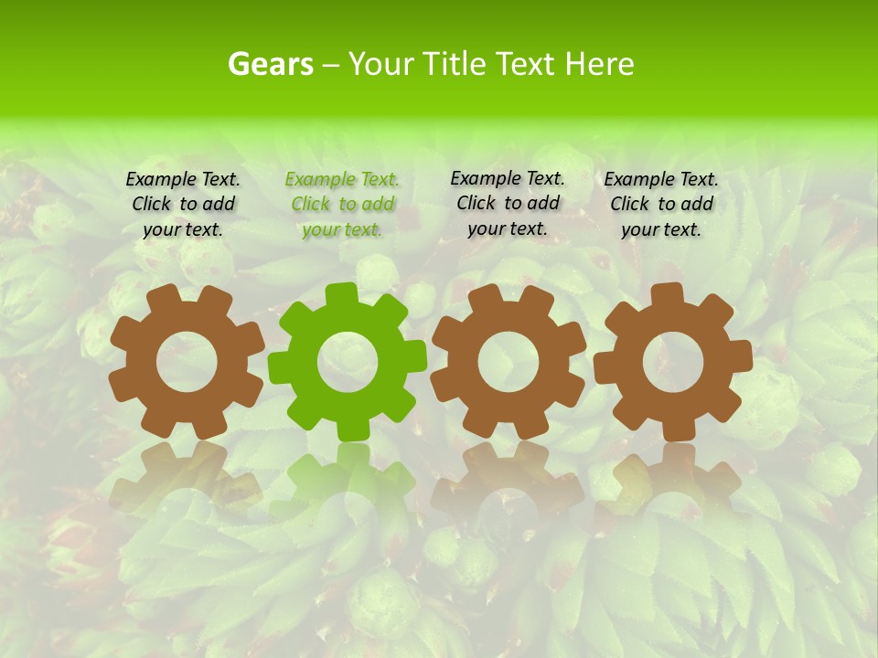 Sempervivum - Hens And Chicks - Sempervivum Soboliferum PowerPoint Template