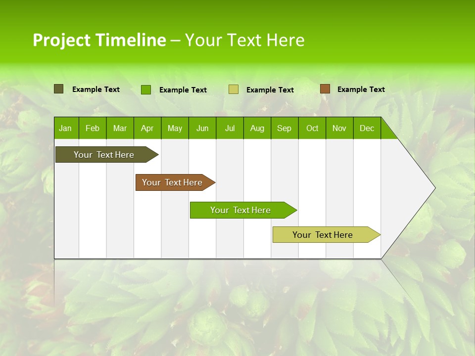 Sempervivum - Hens And Chicks - Sempervivum Soboliferum PowerPoint Template