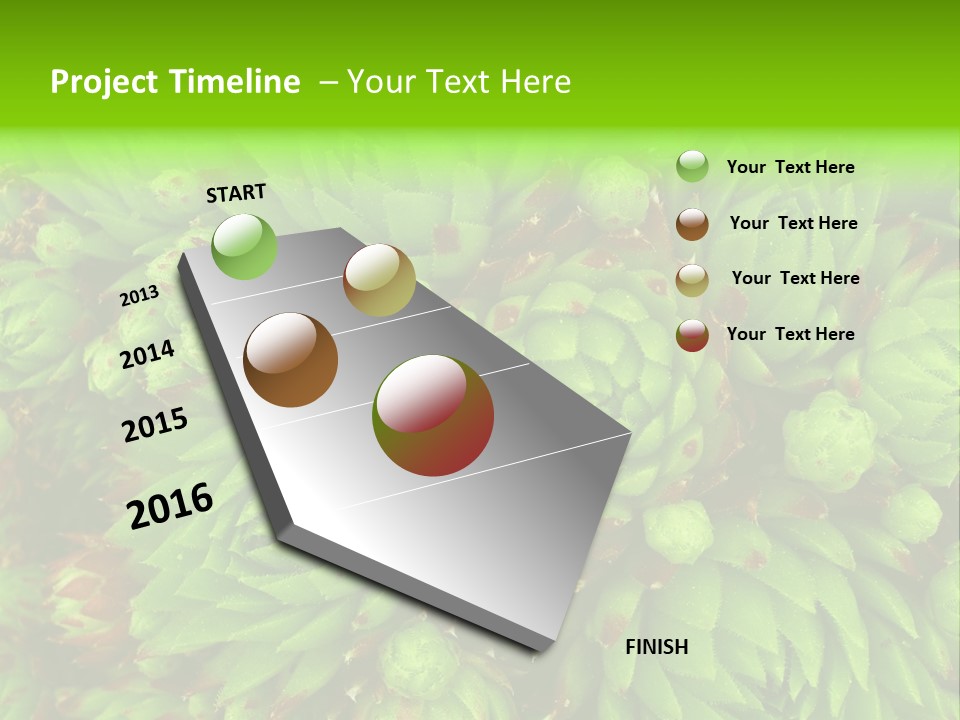 Sempervivum - Hens And Chicks - Sempervivum Soboliferum PowerPoint Template