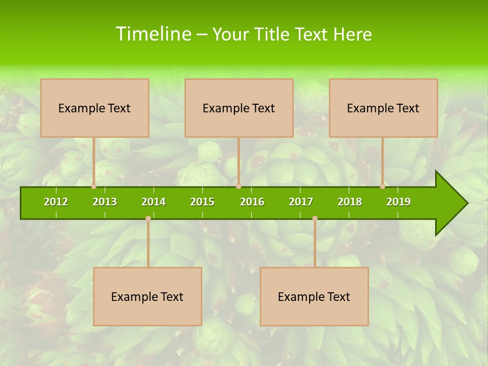 Sempervivum - Hens And Chicks - Sempervivum Soboliferum PowerPoint Template