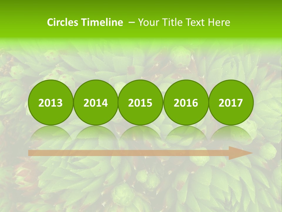 Sempervivum - Hens And Chicks - Sempervivum Soboliferum PowerPoint Template