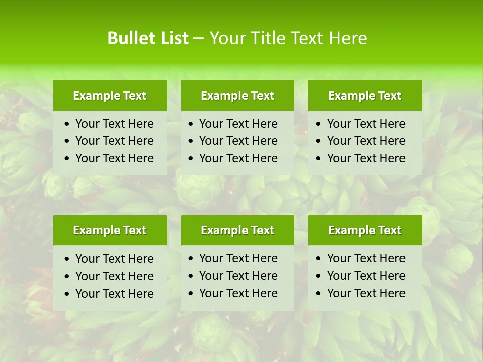 Sempervivum - Hens And Chicks - Sempervivum Soboliferum PowerPoint Template