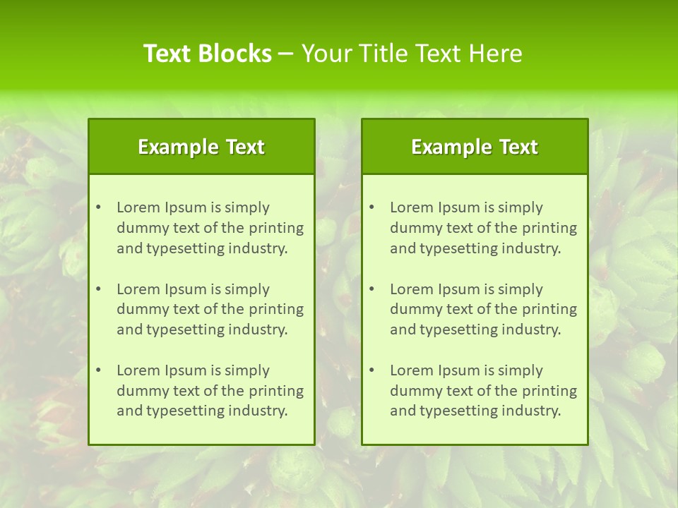 Sempervivum - Hens And Chicks - Sempervivum Soboliferum PowerPoint Template