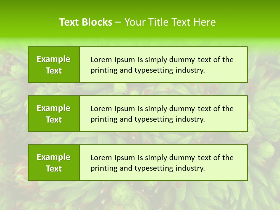 Sempervivum - Hens And Chicks - Sempervivum Soboliferum PowerPoint Template