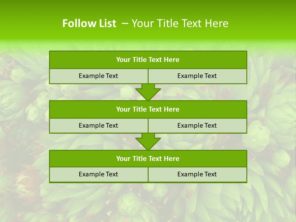 Sempervivum - Hens And Chicks - Sempervivum Soboliferum PowerPoint Template