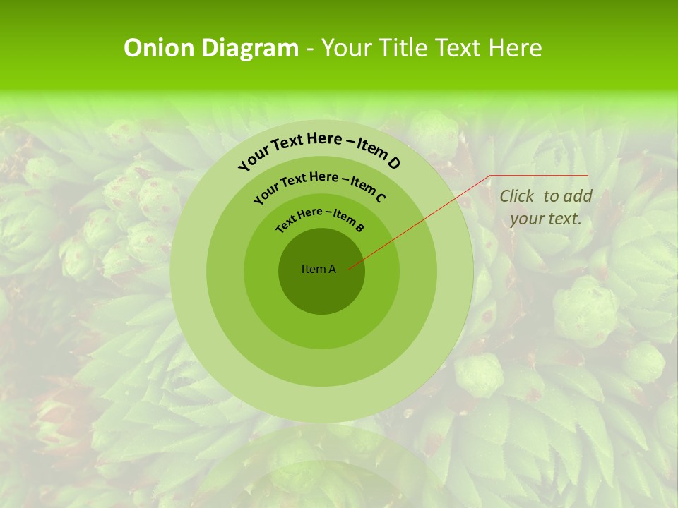 Sempervivum - Hens And Chicks - Sempervivum Soboliferum PowerPoint Template