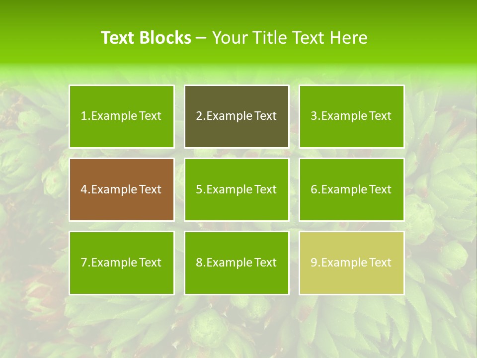 Sempervivum - Hens And Chicks - Sempervivum Soboliferum PowerPoint Template