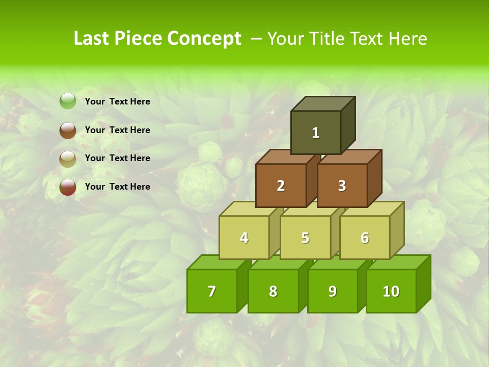 Sempervivum - Hens And Chicks - Sempervivum Soboliferum PowerPoint Template