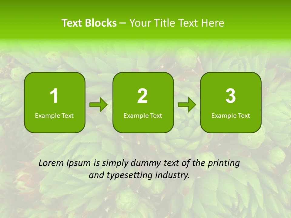 Sempervivum - Hens And Chicks - Sempervivum Soboliferum PowerPoint Template