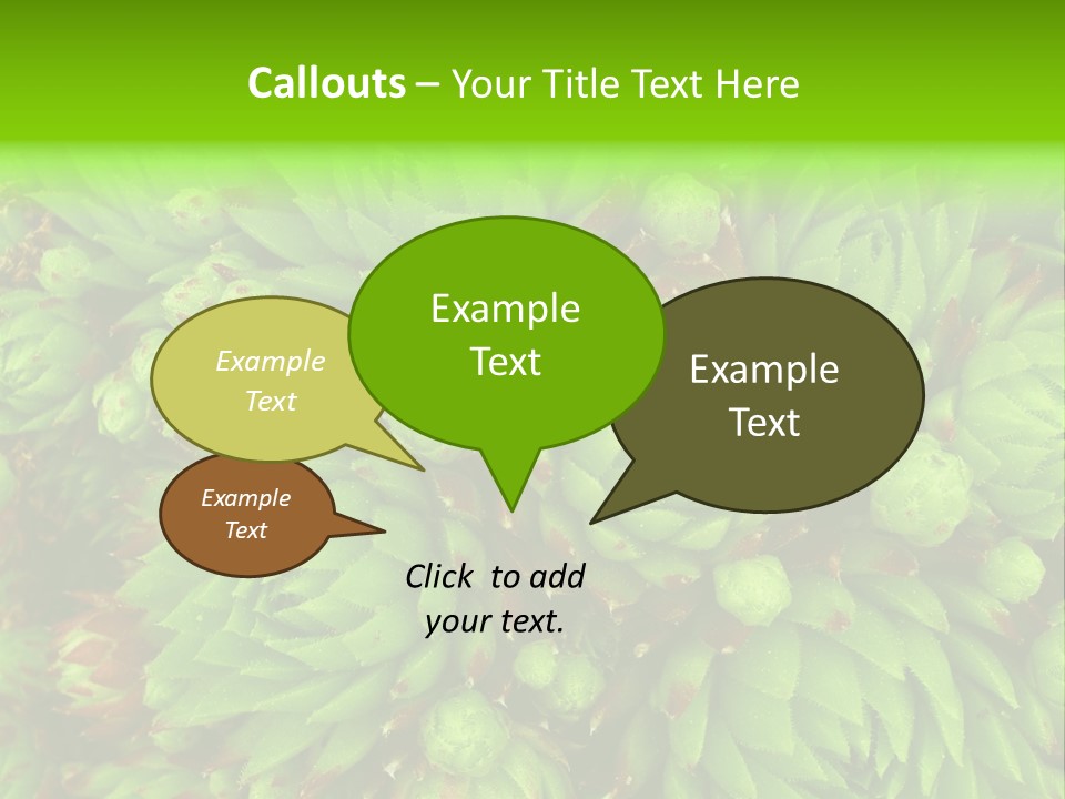 Sempervivum - Hens And Chicks - Sempervivum Soboliferum PowerPoint Template