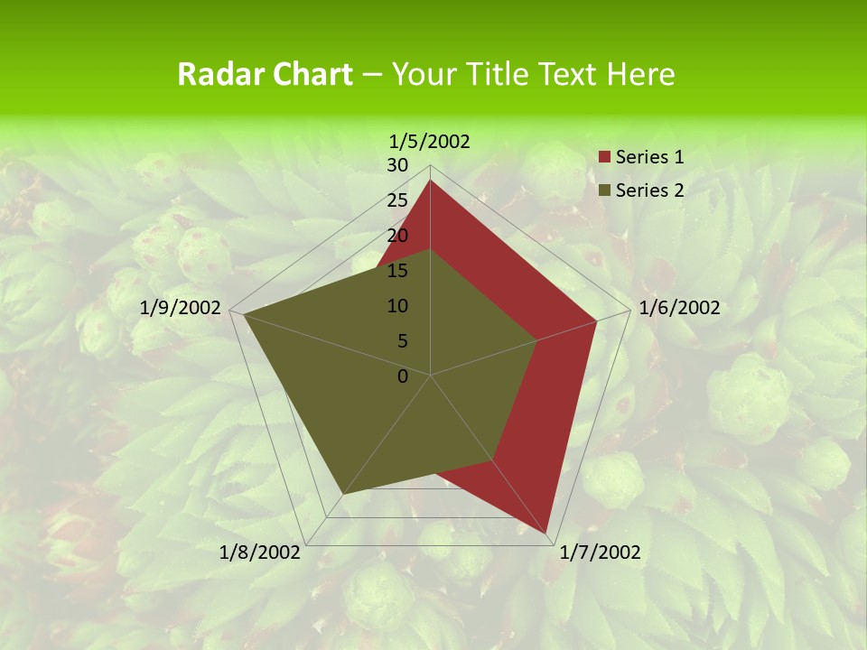 Sempervivum - Hens And Chicks - Sempervivum Soboliferum PowerPoint Template