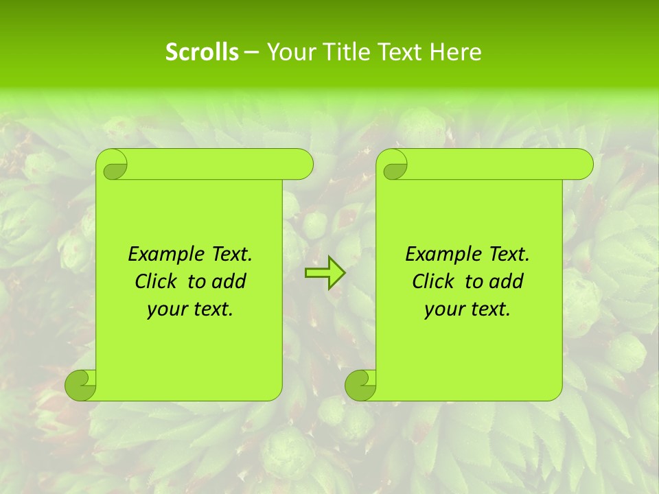 Sempervivum - Hens And Chicks - Sempervivum Soboliferum PowerPoint Template