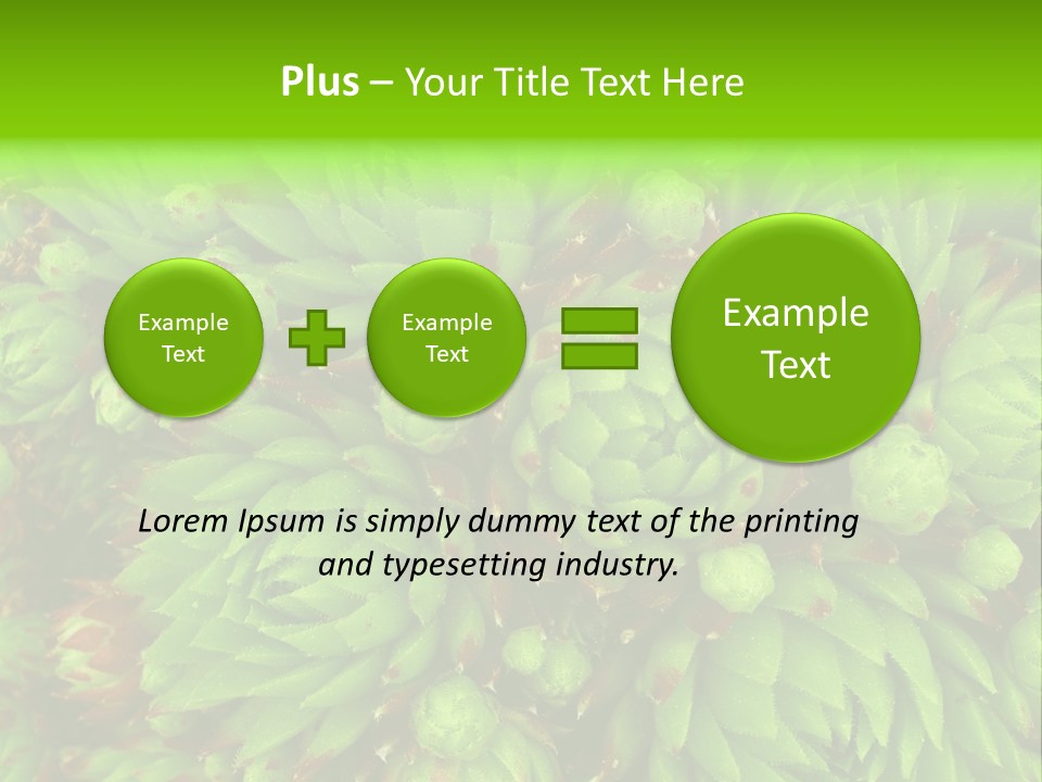 Sempervivum - Hens And Chicks - Sempervivum Soboliferum PowerPoint Template