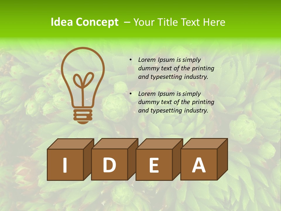 Sempervivum - Hens And Chicks - Sempervivum Soboliferum PowerPoint Template