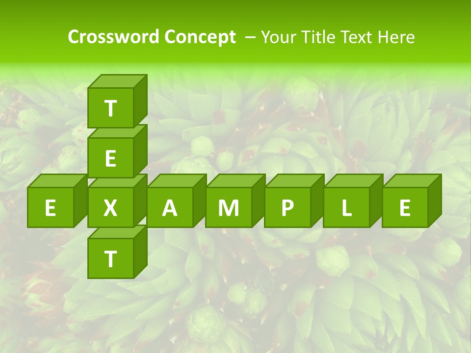 Sempervivum - Hens And Chicks - Sempervivum Soboliferum PowerPoint Template