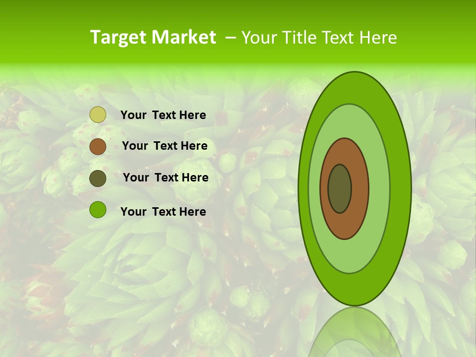 Sempervivum - Hens And Chicks - Sempervivum Soboliferum PowerPoint Template