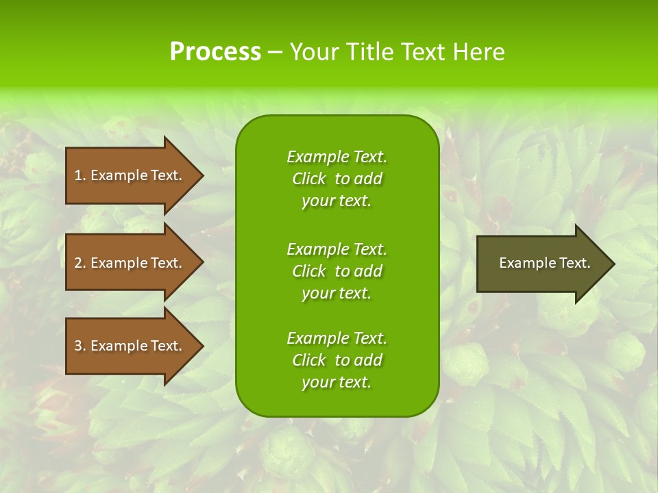 Sempervivum - Hens And Chicks - Sempervivum Soboliferum PowerPoint Template