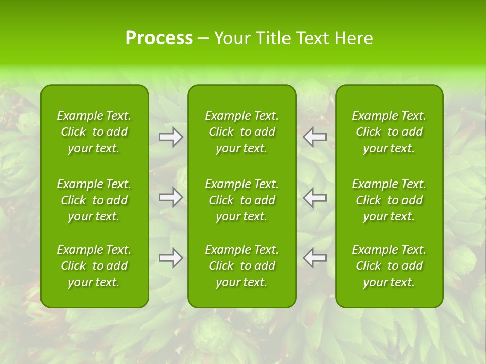 Sempervivum - Hens And Chicks - Sempervivum Soboliferum PowerPoint Template