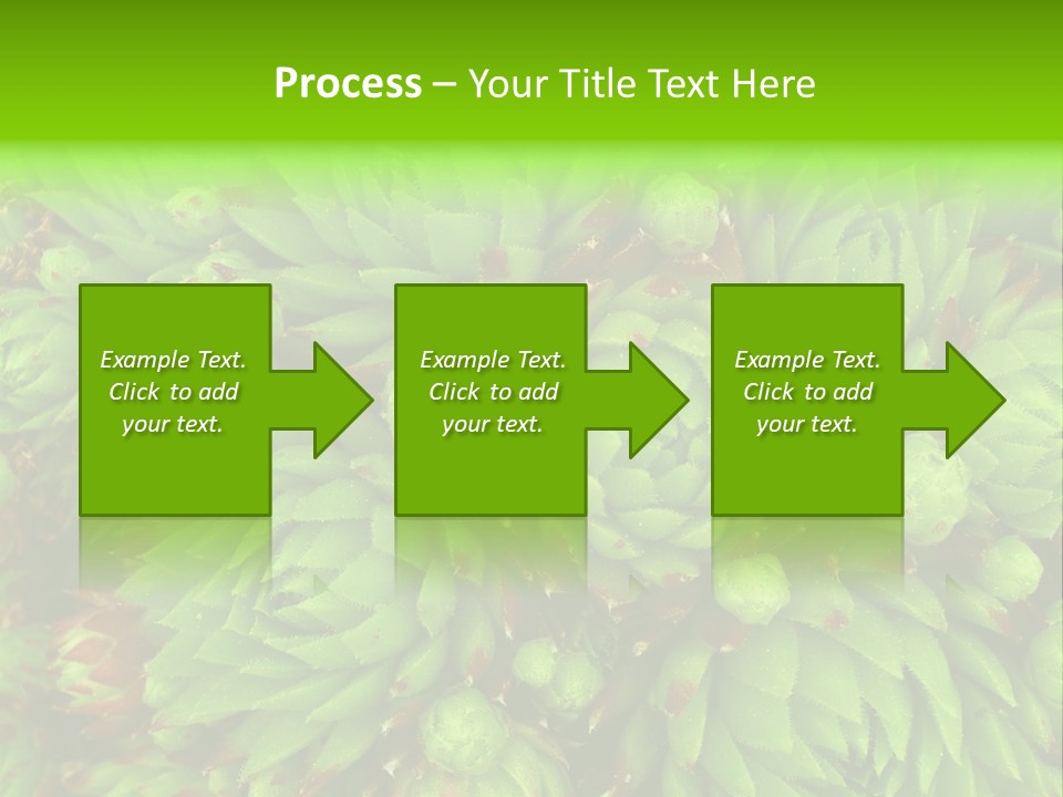 Sempervivum - Hens And Chicks - Sempervivum Soboliferum PowerPoint Template