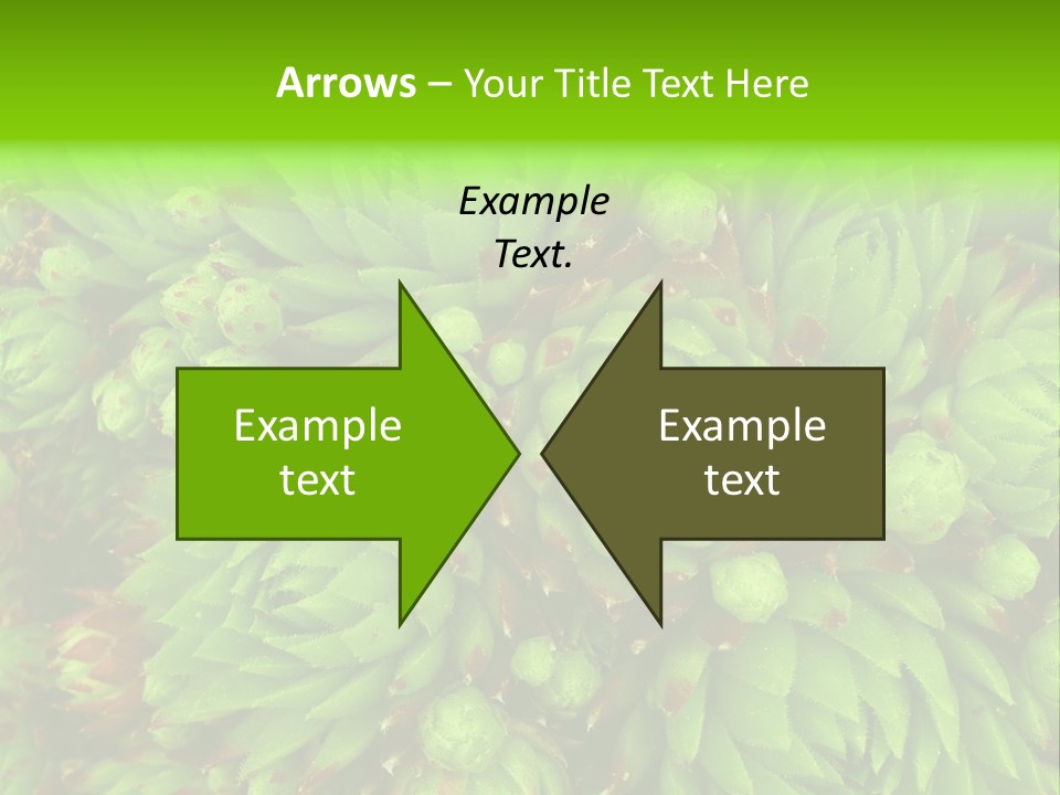 Sempervivum - Hens And Chicks - Sempervivum Soboliferum PowerPoint Template