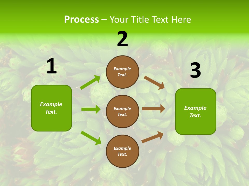 Sempervivum - Hens And Chicks - Sempervivum Soboliferum PowerPoint Template