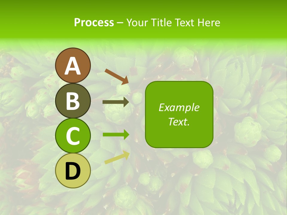 Sempervivum - Hens And Chicks - Sempervivum Soboliferum PowerPoint Template