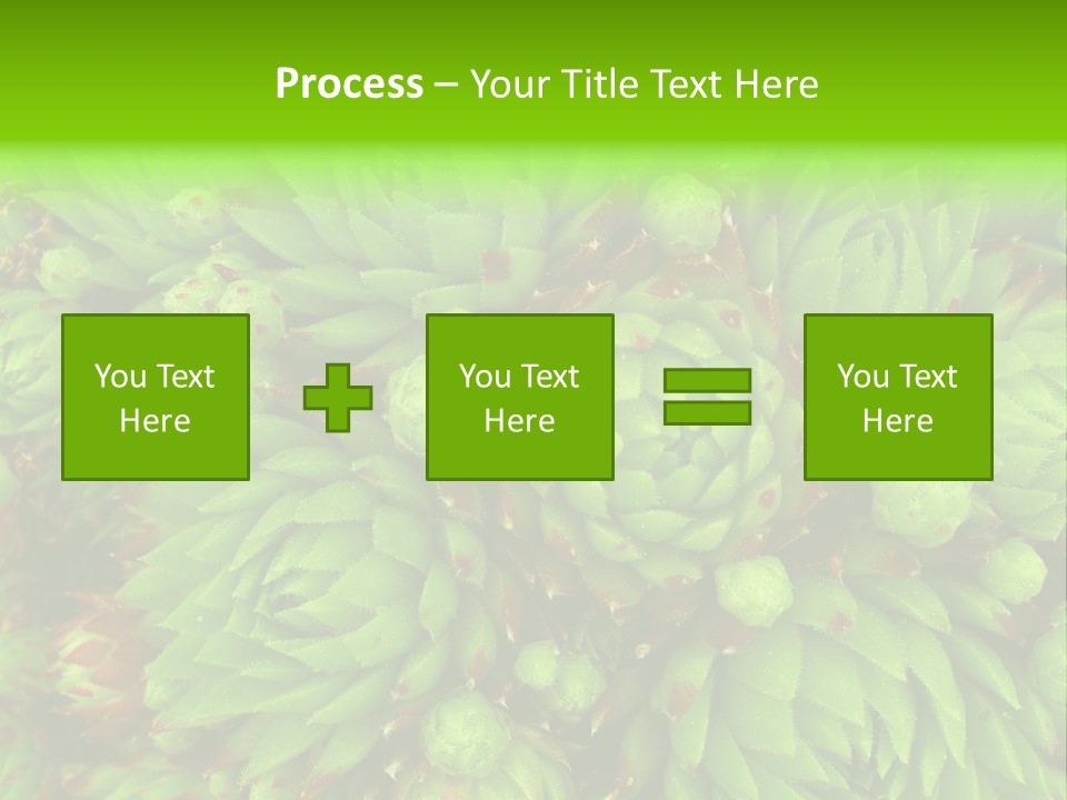 Sempervivum - Hens And Chicks - Sempervivum Soboliferum PowerPoint Template